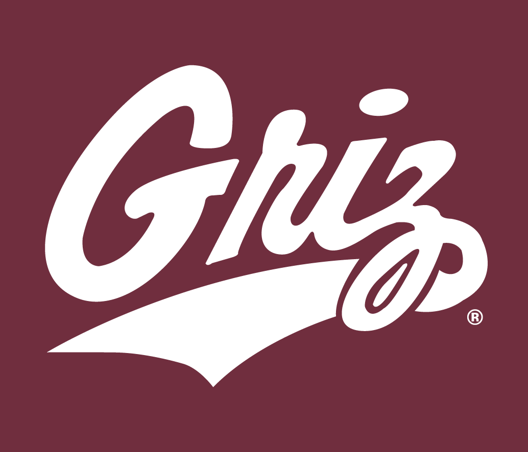 Montana Grizzlies 1996-Pres Alternate Logo v7 diy iron on heat transfer